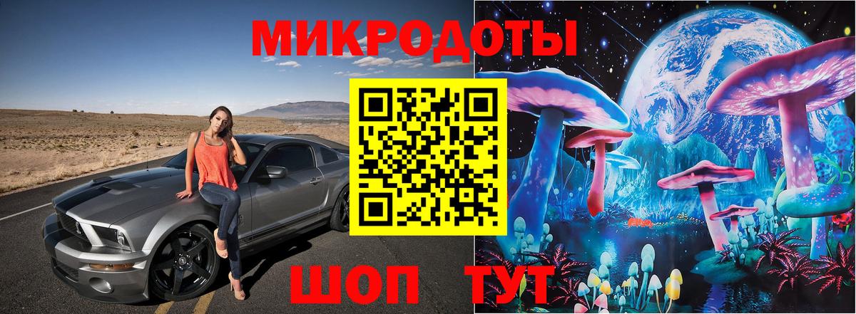Псилоцибиновые грибы Cubensis Печора